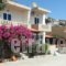 Platanos Studios_accommodation_in_Hotel_Crete_Rethymnon_Plakias