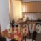 Nadia Apartments_travel_packages_in_Aegean Islands_Lesvos_Mythimna (Molyvos)