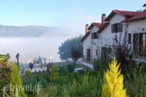 Nefeli Guesthouses_best prices_in_Hotel_Peloponesse_Achaia_Kalavryta