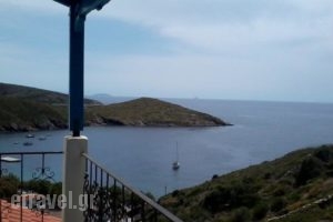 Studios Rena_lowest prices_in_Hotel_Aegean Islands_Fourni_Fourni Rest Areas