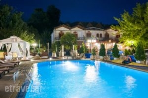 Krikonis Suites Hotel_accommodation_in_Hotel_Epirus_Ioannina_Dodoni