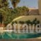 Kaloudis Apartments_best deals_Apartment_Crete_Chania_Sfakia