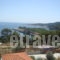 Pension Dimitra_best prices_in_Hotel_Sporades Islands_Skopelos_Skopelos Chora