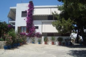 Pension Dimitra_accommodation_in_Hotel_Sporades Islands_Skopelos_Skopelos Chora