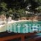 Pension Dimitris_travel_packages_in_Sporades Islands_Alonnisos_Alonissosora