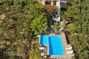 Villa Palm River_travel_packages_in_Crete_Chania_Sfakia