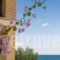 Calypso Studios_holidays_in_Hotel_Ionian Islands_Zakinthos_Zakinthos Rest Areas