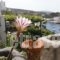 Chriason Studios & Apartments_travel_packages_in_Sporades Islands_Skyros_Skyros Rest Areas