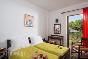 Hotel Malia Holidays_lowest prices_in_Hotel_Crete_Heraklion_Malia