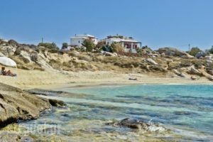 Ydreos Studios & Apartments_best deals_Apartment_Cyclades Islands_Naxos_Mikri Vigla