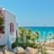 Ydreos Studios & Apartments_travel_packages_in_Cyclades Islands_Naxos_Mikri Vigla