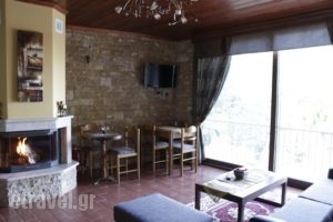 Xenonas Platia_best prices_in_Hotel_Macedonia_Pella_Aridea
