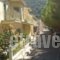 Evangelia_best prices_in_Hotel_Ionian Islands_Kefalonia_Aghia Efimia