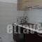Irinoula Apartments_best deals_Apartment_Dodekanessos Islands_Tilos_Livadia