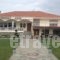 Guesthouse Egli_accommodation_in_Hotel_Macedonia_Kozani_Siatista