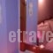 Guesthouse Rousis_best deals_Hotel_Thessaly_Magnesia_Zagora