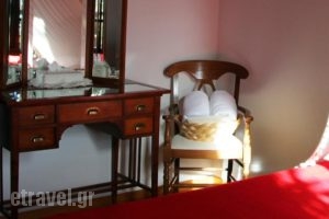 Mansion Viglatoras_lowest prices_in_Hotel_Macedonia_Serres_Kerkini