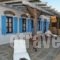 Villa Ghisi_holidays_in_Villa_Cyclades Islands_Syros_Posidonia