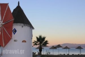 Grand Bleu_holidays_in_Hotel_Central Greece_Evia_Eretria