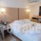 Hotel Lefkas_accommodation_in_Hotel_Ionian Islands_Lefkada_Lefkada Chora