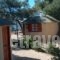 Chrissa Camping Rooms & Bungalows_lowest prices_in_Room_Central Greece_Fokida_Amfissa
