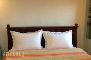 Guesthouse Eleni_holidays_in_Hotel_Thessaly_Larisa_Ambelakia