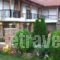 Spitiko_accommodation_in_Hotel_Macedonia_Pella_Aridea