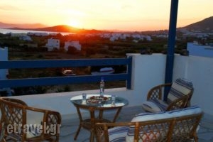 View To The Blue_accommodation_in_Hotel_Cyclades Islands_Naxos_Agia Anna