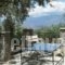 Studio Maistros_best deals_Hotel_Central Greece_Fokida_Galaxidi