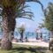 Three Stars Beach Hotel_best deals_Hotel_Ionian Islands_Corfu_Corfu Rest Areas
