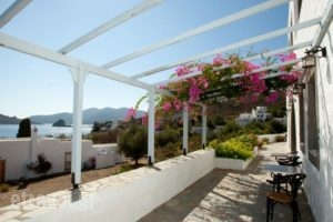 Apolafsis Studios_accommodation_in_Hotel_Dodekanessos Islands_Patmos_Patmos Chora