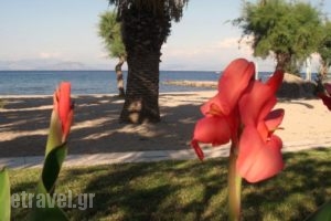 Three Stars Beach Hotel_travel_packages_in_Ionian Islands_Corfu_Corfu Rest Areas