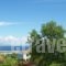 Edelweiss Studios_best prices_in_Hotel_Aegean Islands_Thasos_Thasos Chora
