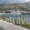 Nora Norita_accommodation_in_Hotel_Cyclades Islands_Andros_Andros City