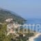 Papa Nero Studios And Apartments_best deals_Apartment_Thessaly_Magnesia_Mouresi