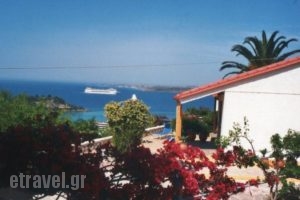 Ventura Rooms_holidays_in_Room_Ionian Islands_Kefalonia_Kefalonia'st Areas