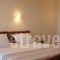 Niovi Studios_lowest prices_in_Hotel_Central Greece_Evia_Edipsos