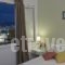 Hotel Oasis_lowest prices_in_Hotel_Cyclades Islands_Paros_Paros Chora