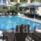 Vanas_holidays_in_Hotel_Piraeus Islands - Trizonia_Spetses_Spetses Chora