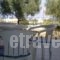 Bayview Apartments_best prices_in_Apartment_Crete_Lasithi_Aghios Nikolaos