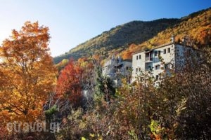 Hotel Athina_lowest prices_in_Hotel_Epirus_Ioannina_Zitsa