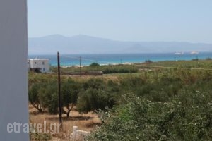 Studios Michel_best prices_in_Hotel_Cyclades Islands_Paros_Paros Chora