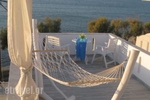 Alexandra'S Rooms_best deals_Room_Cyclades Islands_Paros_Paros Chora