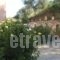 Villa Dimosthenis_best deals_Villa_Crete_Chania_Kolympari