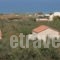 Gerolakos Villas_accommodation_in_Villa_Crete_Rethymnon_Rethymnon City