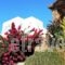 RockyMansion_lowest prices_in_Hotel_Cyclades Islands_Mykonos_Mykonos Chora