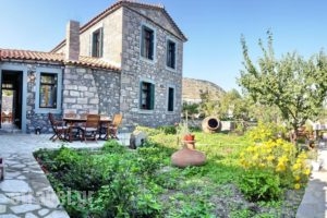 Artemis Traditional Hotel_accommodation_in_Hotel_Aegean Islands_Lesvos_Lesvos Rest Areas