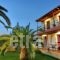 Andriotis Studios_holidays_in_Hotel_Aegean Islands_Lesvos_Plomari