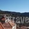 Hotel Elatofilito_lowest prices_in_Hotel_Epirus_Arta_Arta City