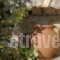 Pantonia Apartments_holidays_in_Apartment_Piraeus islands - Trizonia_Kithira_Kithira Chora
